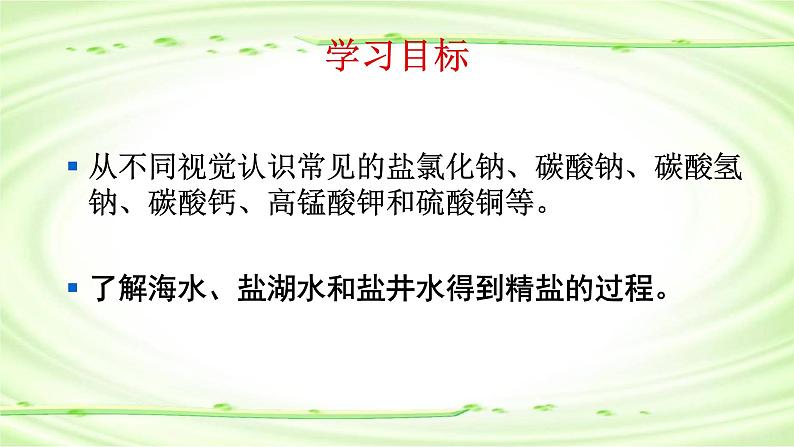 人教版九年级化学下册 11.1生活中常见的盐第1课时认识常见的盐课件PPT第4页