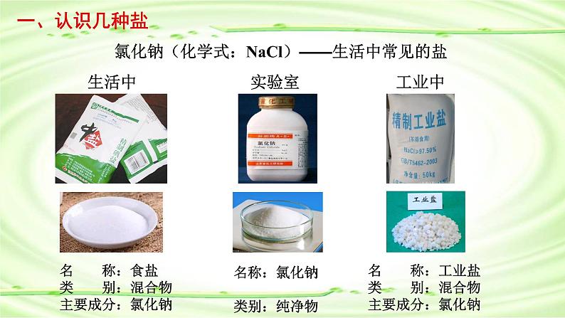 人教版九年级化学下册 11.1生活中常见的盐第1课时认识常见的盐课件PPT第5页