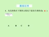 第八单元第三节金属资源的利用和保护（第2课时）同步练习课件-九年级化学人教版下册