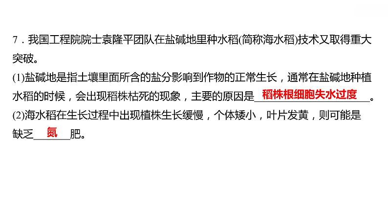 第十一单元课题2化学肥料课件九年级化学人教版下册第7页