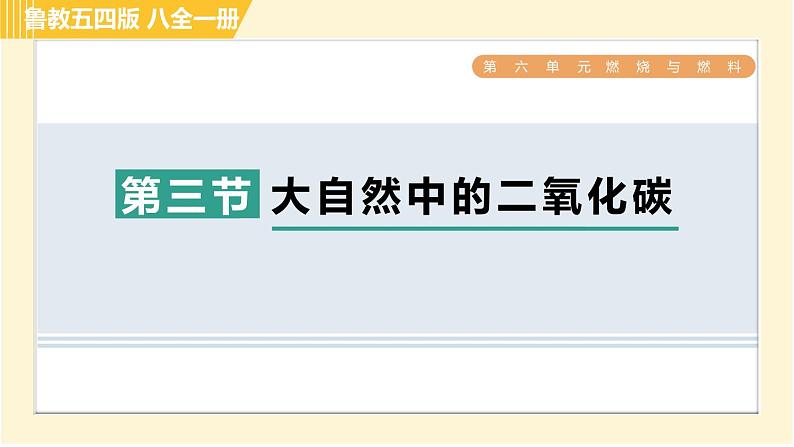 鲁教五四版八年级全一册化学 第6单元 习题课件01