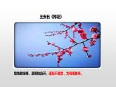 人教版九年级化学上册第三单元课题1 分子和原子（课件）