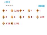 人教版九年级上册化学 第8单元 实验活动4 金属的物理性质和某些化学性质 课件