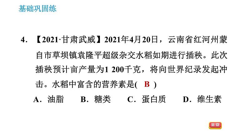 人教版九年级上册化学 第12单元 12.1 人类重要的营养物质 课件07