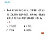 人教版九年级上册化学 第10单元 实验活动6 酸、碱的化学性质 课件