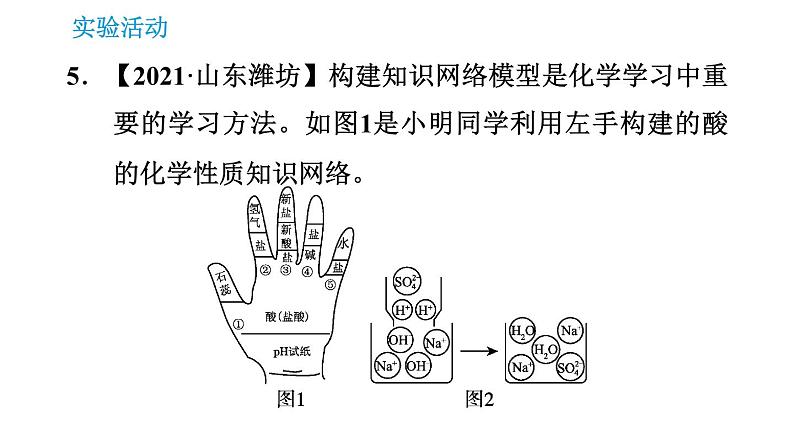 人教版九年级上册化学 第10单元 实验活动6 酸、碱的化学性质 课件07