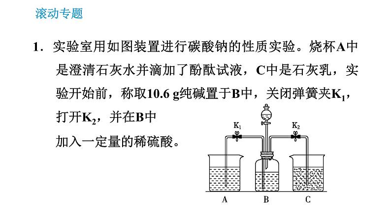 人教版九年级上册化学 第11单元 滚动专题(十二) 与盐有关的探究课件PPT03