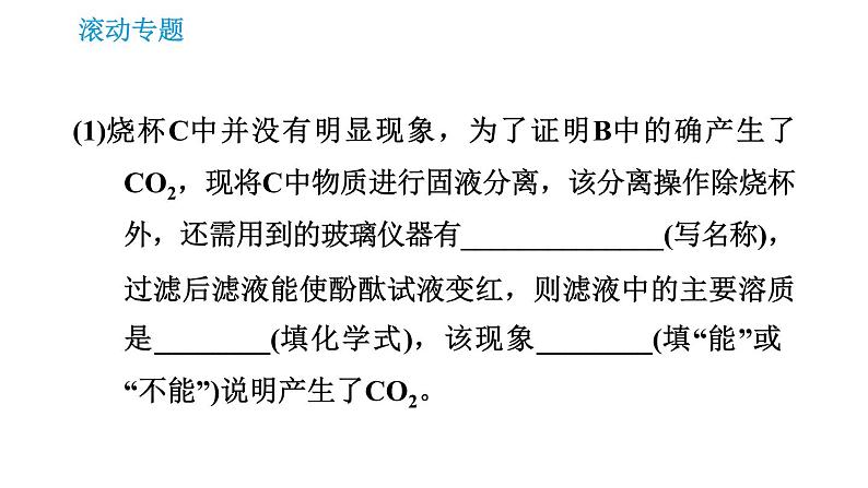 人教版九年级上册化学 第11单元 滚动专题(十二) 与盐有关的探究课件PPT04