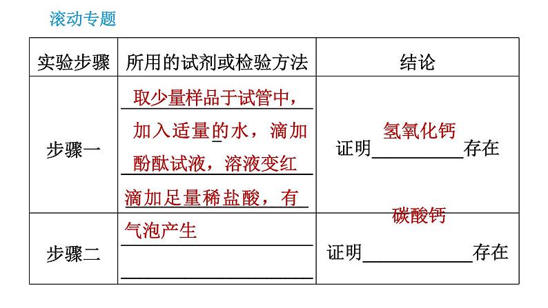 人教版九年级上册化学 第11单元 滚动专题(十二) 与盐有关的探究课件PPT07