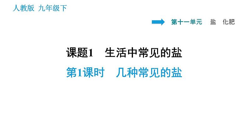 人教版九年级上册化学 第11单元 11.1.1 几种常见的盐课件PPT第1页