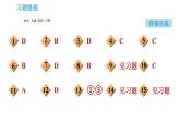 人教版九年级上册化学 第11单元 11.2 化学肥料课件PPT