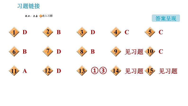 人教版九年级上册化学 第11单元 11.2 化学肥料课件PPT第2页