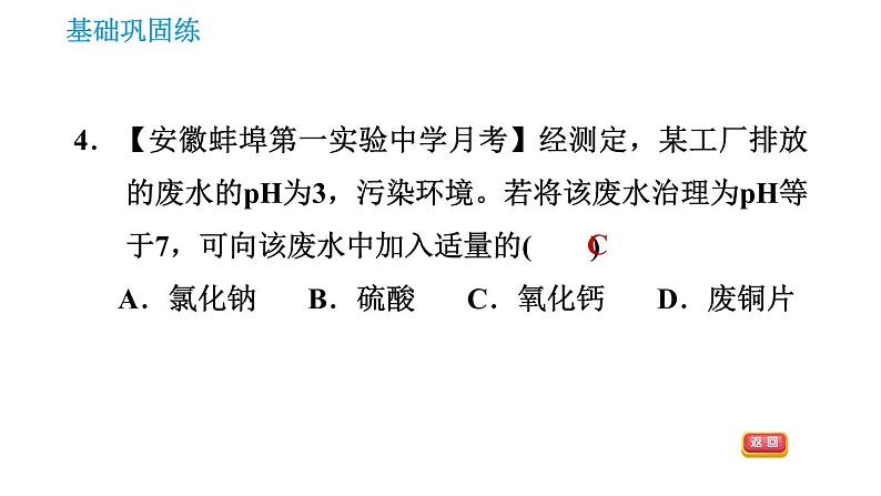 人教版九年级上册化学 第10单元 10.2.2 溶液酸碱度的表示法——pH 课件06