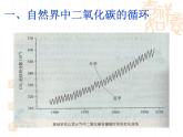 鲁教版九年级化学上册 6.3 大自然中的二氧化碳课件PPT