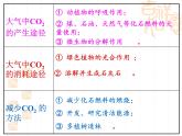 鲁教版九年级化学上册 6.3 大自然中的二氧化碳课件PPT