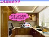鲁教版九年级化学上册 4.2 物质组成的表示课件PPT