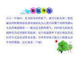 鲁教版九年级化学上册 1.2 体验化学探究课件PPT