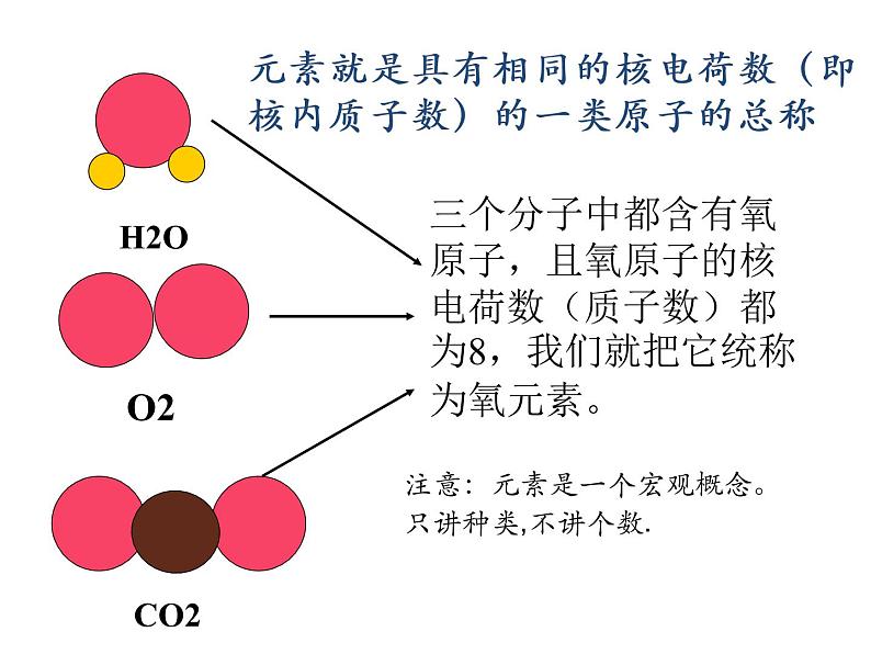 鲁教版九年级化学上册 2.4 元素课件PPT第6页