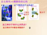 鲁教版九年级化学上册 2.4 元素课件PPT