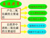 鲁教版九年级化学上册 6.3 大自然中的二氧化碳课件PPT