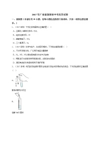 广东省深圳市2017年中考化学试题（word版，含解析）