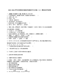 2015-2016学年甘肃省庆城县凤城初中九年级（上）期末化学试卷（解析版）