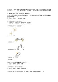 2015-2016学年陕西省华阴市罗山初级中学九年级（上）期末化学试卷