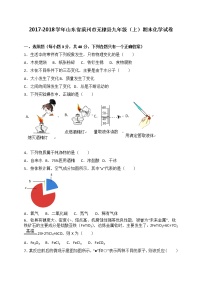 山东省滨州市无棣县2018届九年级上学期期末考试化学试题（解析版）