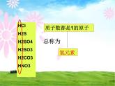 人教版九年级化学上册 3.3 元素课件PPT