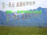 人教版九年级化学上册 1.1 物质的变化和性质课件PPT