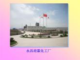 人教版九年级化学上册 1.1 物质的变化和性质课件PPT