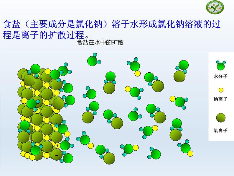 鲁教版九年级化学上册 3.1 溶液的形成课件PPT04