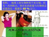 人教版九年级化学上册 4.3 水的组成（4）课件PPT