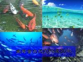人教版九年级化学上册 4.3 水的组成（4）课件PPT