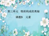 人教版九年级化学上册 3.3 元素（9）课件PPT