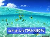 人教版九年级化学上册 4.3 水的组成（3）课件PPT