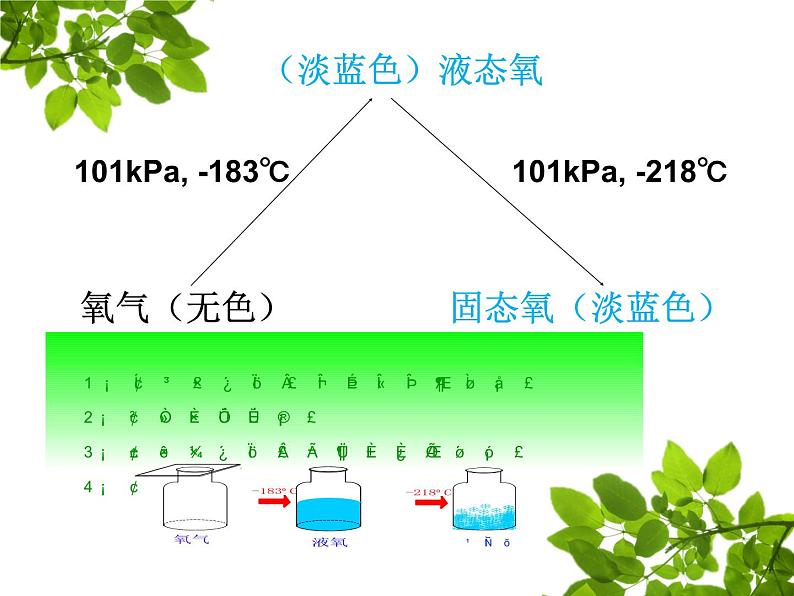 人教版九年级化学上册 2.2 氧气（13）课件PPT第5页