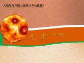 人教版九年级化学上册 3.3 元素（13）课件PPT