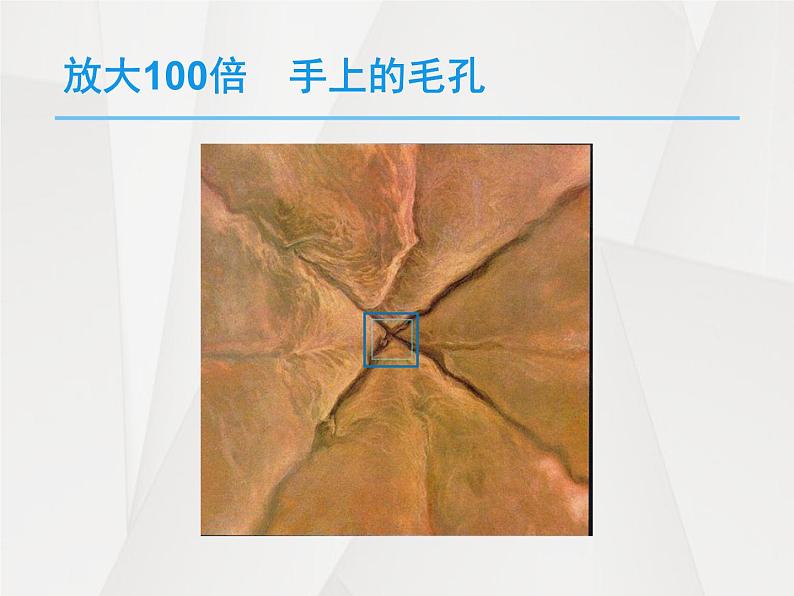 人教版九年级化学上册 3.1 分子和原子（14）课件PPT第8页