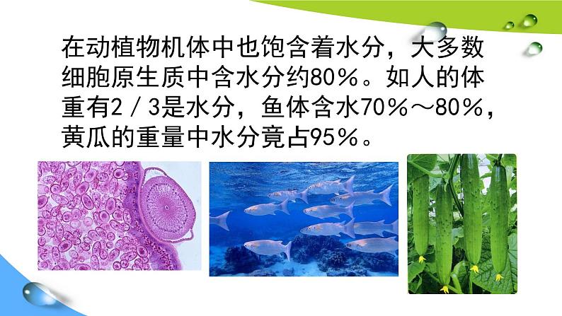 人教版九年级化学上册 4.1 爱护水资源（13）课件PPT08