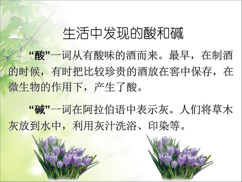 新人教版九年级化学下册第十单元第一节常见的酸和碱课件全国通用第2页