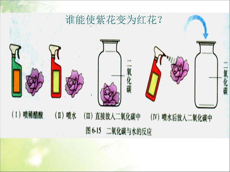 新人教版九年级化学下册第十单元第一节常见的酸和碱课件全国通用第5页
