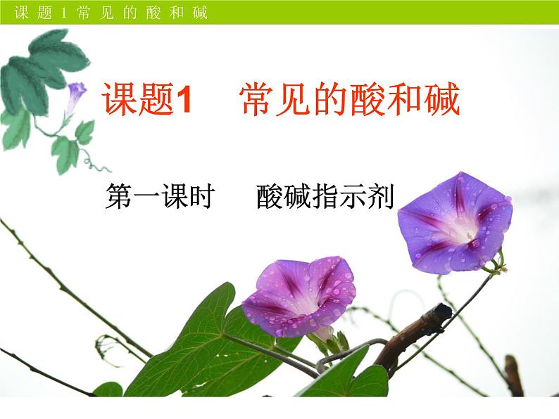 新人教版九年级化学下册第十单元课题1常见的酸和碱第一课时课件01