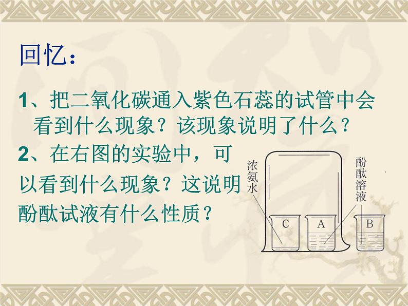 新人教版九年级化学下册第十单元课题一常见的酸和碱-第一课时课件第2页