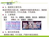 新人教版九年级化学下册课题2化学肥料课件