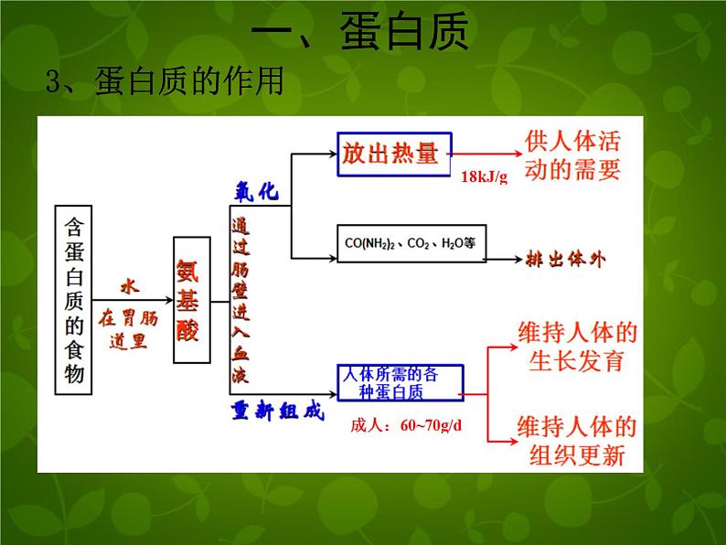 人教初中化学九下《12课题1人类重要的营养物质》PPT课件 (14)第6页