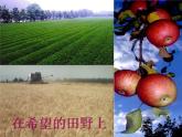 新人教版九年级化学下册11-2 化学肥料课件