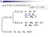 新人教版九年级化学下册11-2 化学肥料课件