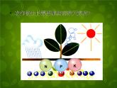人教初中化学九下《11课题2化学肥料》PPT课件 (18)