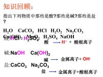 初中化学人教版九年级下册课题1 生活中常见的盐多媒体教学课件ppt